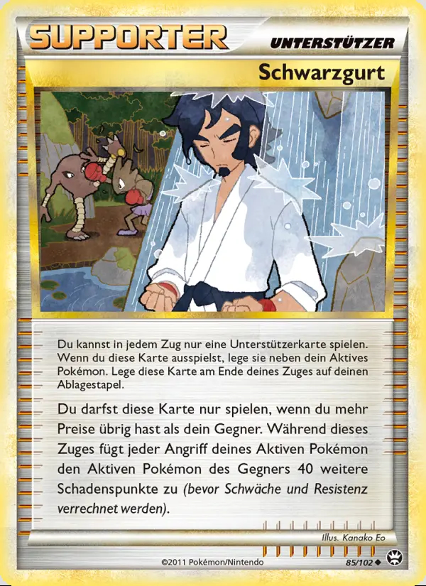 Image of the card Schwarzgurt