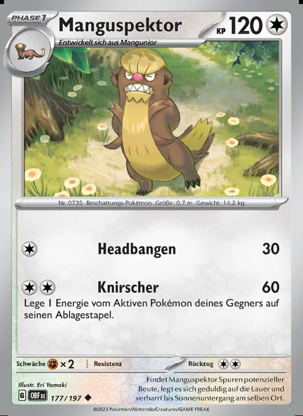 Image of the card Manguspektor