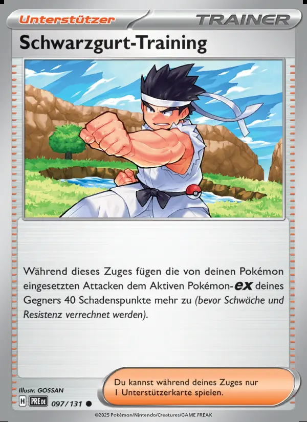 Image of the card Schwarzgurt-Training