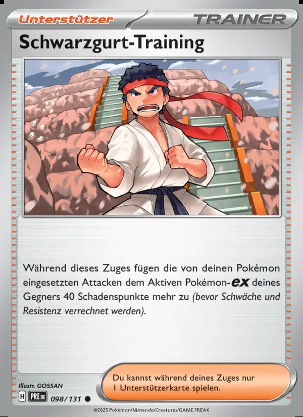 Image of the card Schwarzgurt-Training