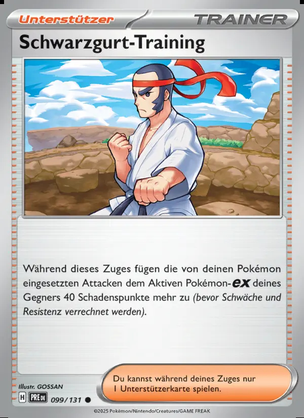 Image of the card Schwarzgurt-Training